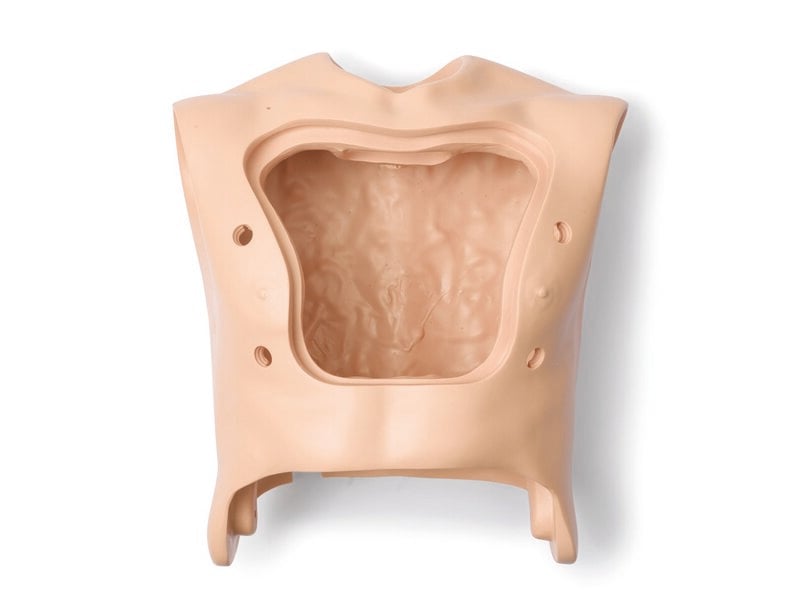 Torso, Nursing Kelly