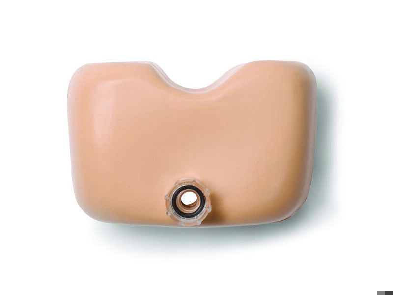 Reservoir Assembly, Stomach, Adult Male