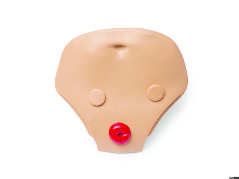 Belly Plate, Adult, 3 Hole