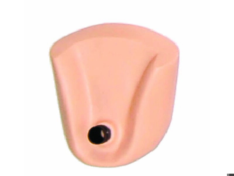 RESERVOIR; COLON - ADULT