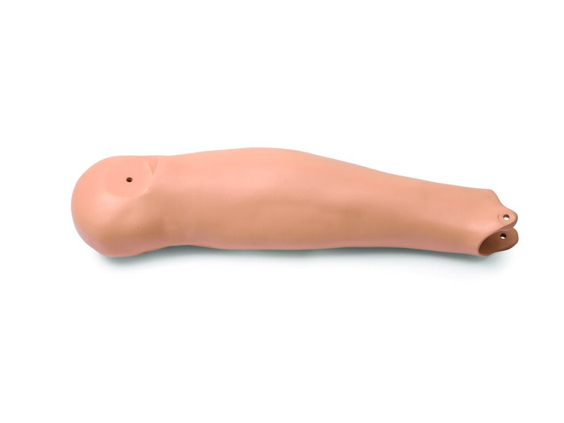 CALF; RT-ADLT-STD