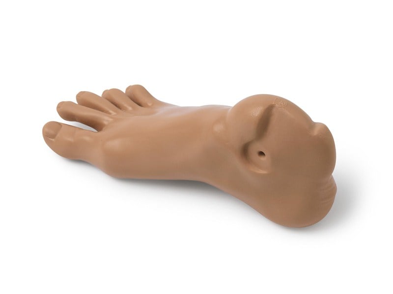 FOOT; RT-ADLT (T)
