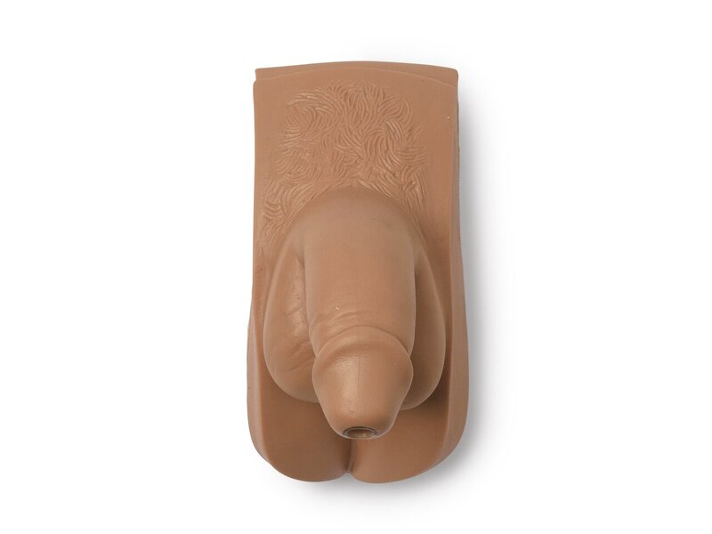 Male Genitalia, Adult, Tan 
