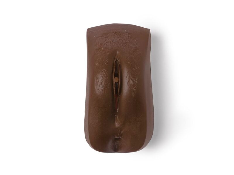 Female Genitalia, Adult Dark