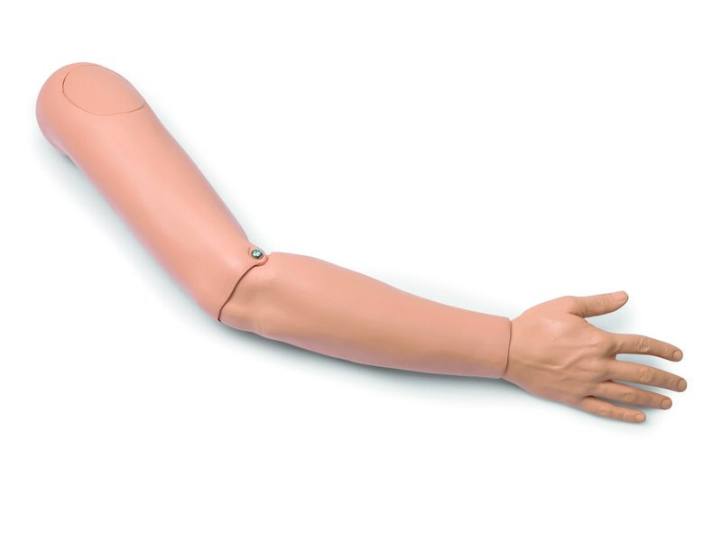 Brazo derecho maniquies Kelly