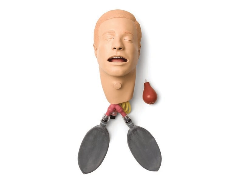 HEAD; AMH-INT W/LUNG (S)