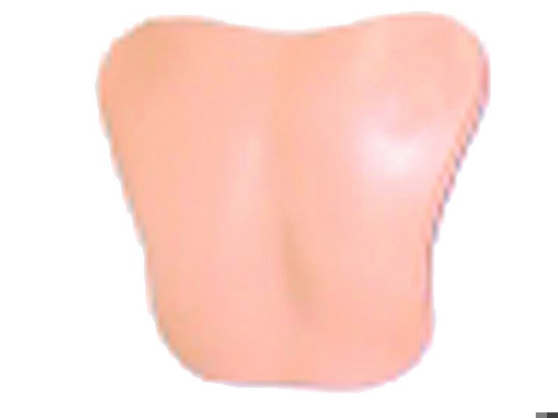 Plaque thorax Nursing Kelly