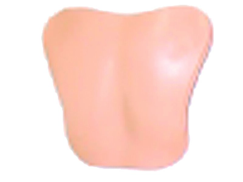 CHESTPLT; AM-HOSP (S)