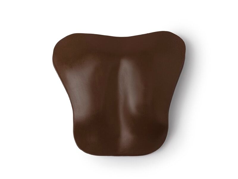 CHESTPLT; AM-HOSP (B)