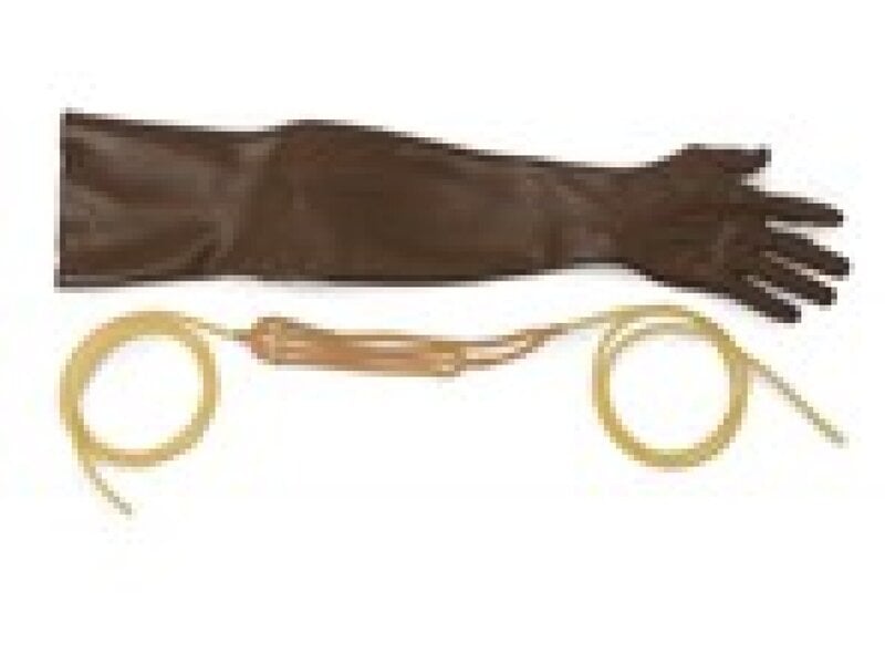 Skin/Vein System, Adult Male Dark