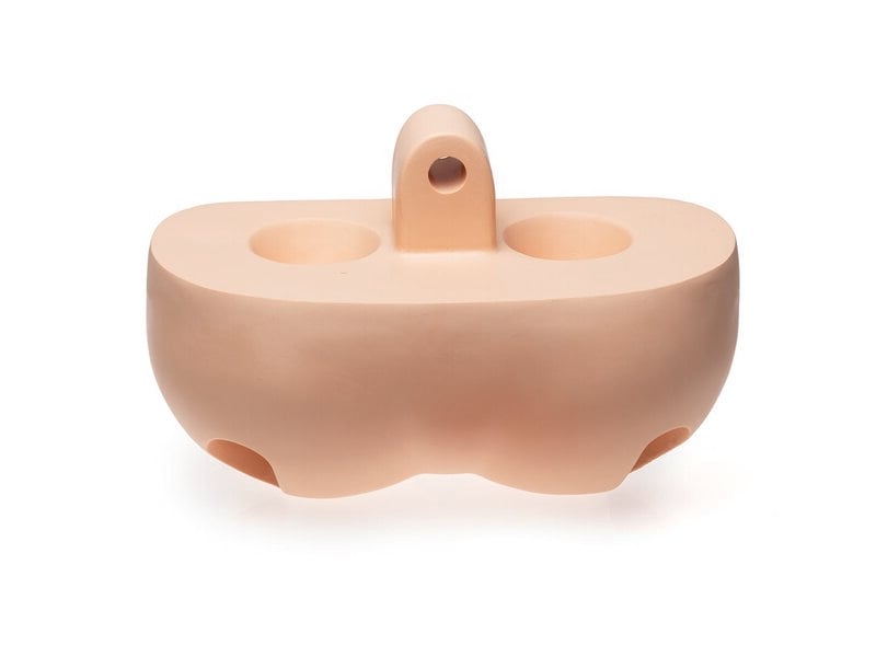 Resusci Anne Pelvis 