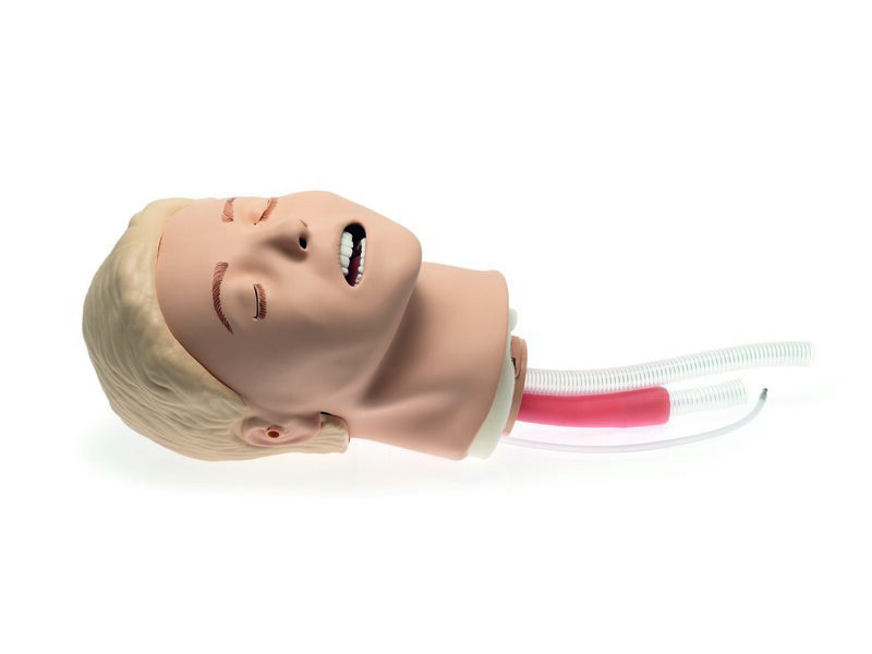 Resusci Anne Airway Head