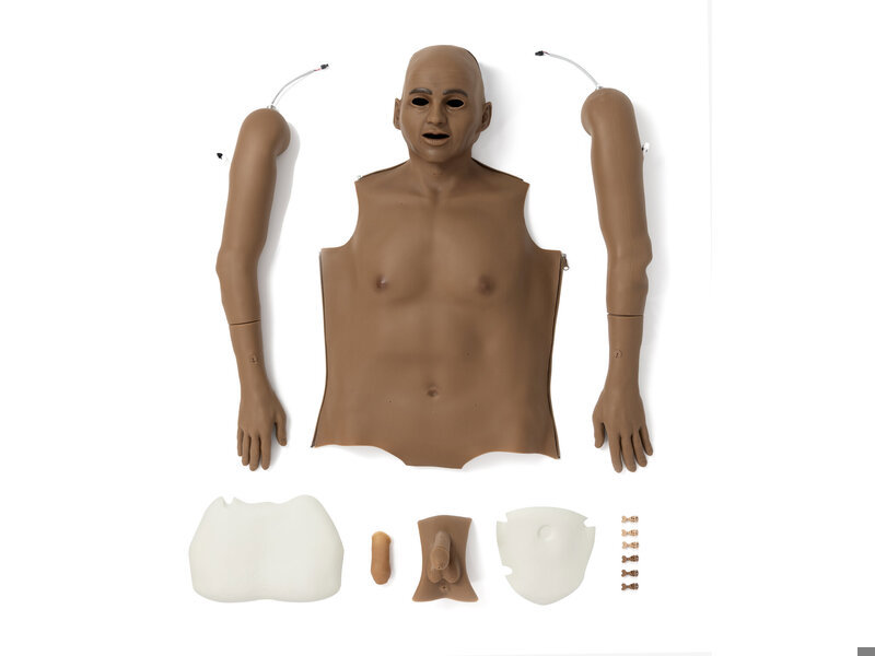 Upgrade Kit männlich für Nursing Anne Simulator (dunkelhäutig)