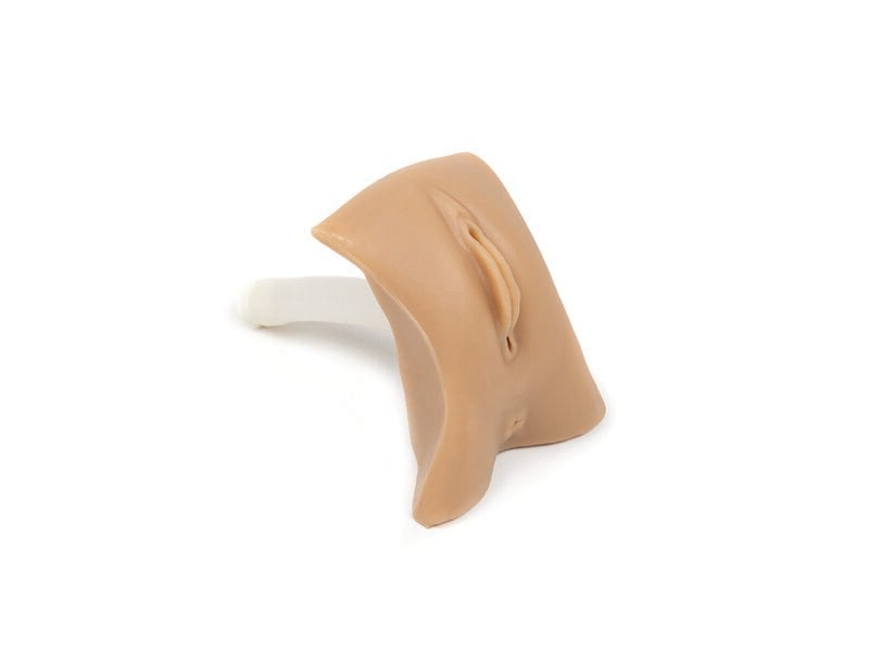 Female Genitalia (Med) Nursing Anne Simulator