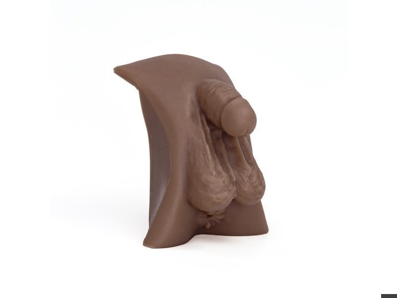 Organe génitaux masculin (teint foncé)