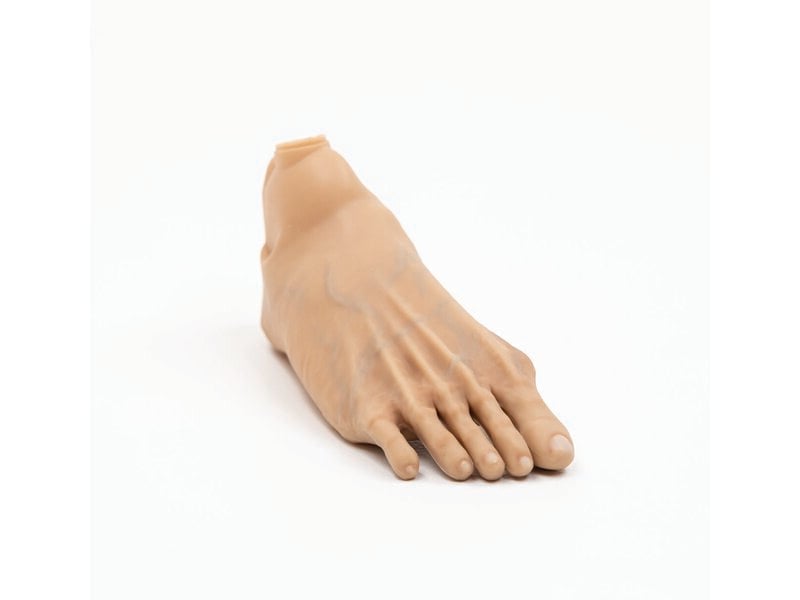 Aged Right Foot Skin