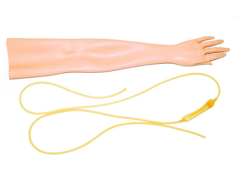 Skin and Vein for Multi-Venous IV Arm Left (S)