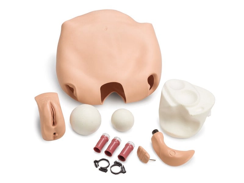 Fundus Skills and Assessment Module Light