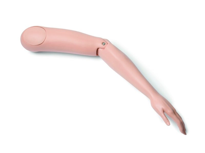 Bras gauche, femme adulte, corps entier