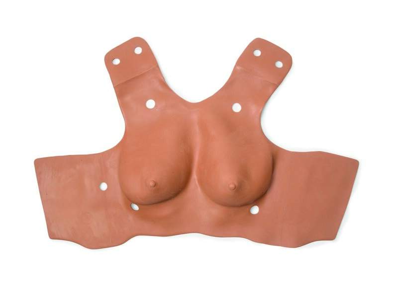 SKIN; CHEST-AF HOSP (T)