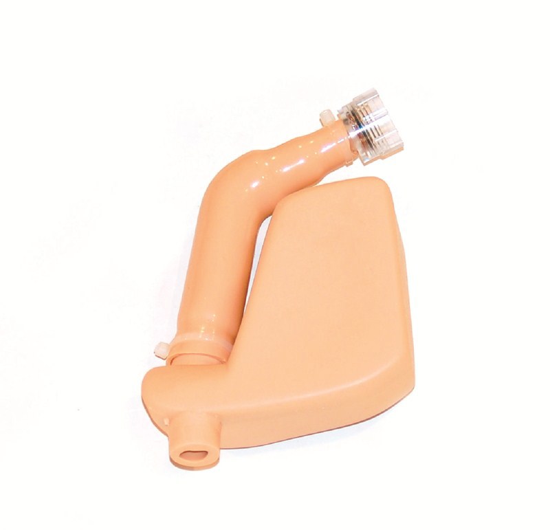 Réservoir, estomac - Hôpital, femme adulte