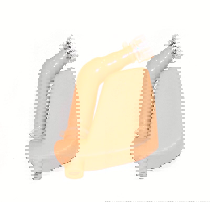 Nursing Anne, maagreservoir, volwassen vrouwelijk