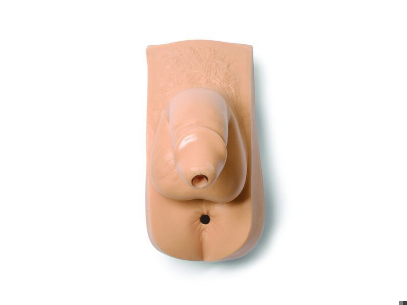Kit genitales Masculinos (Varios maniquies)