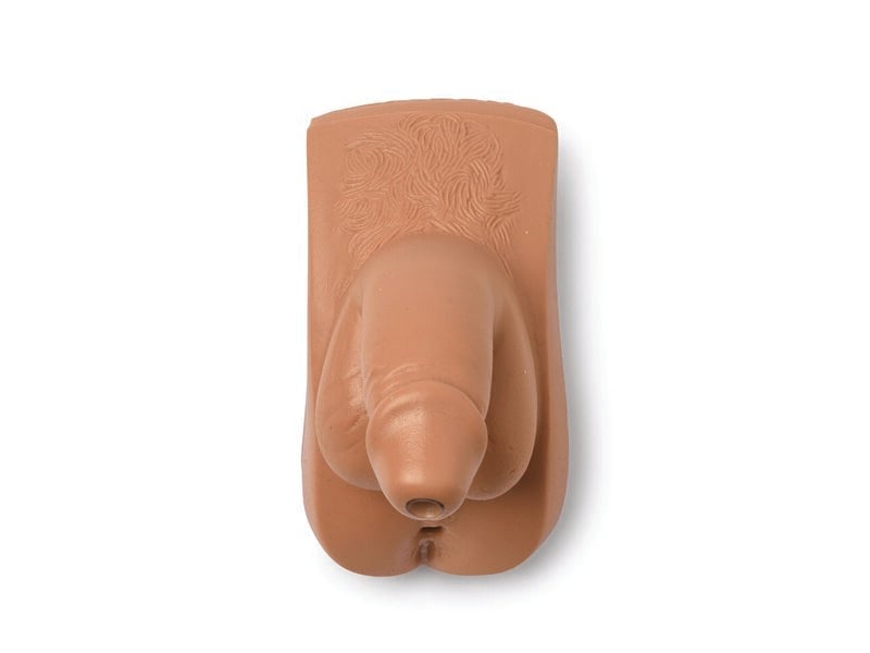 Männliches Genital für Nursing Anne (mittlerer Hautton)