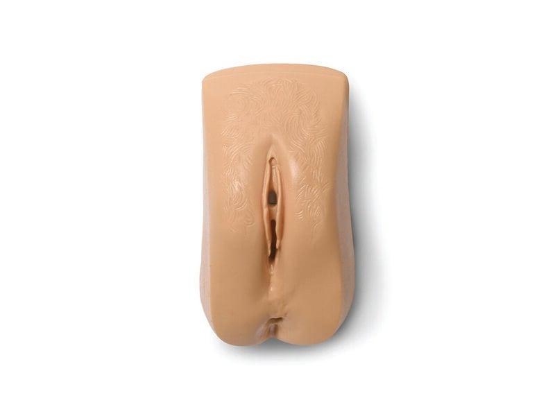 Female Genitalia Light