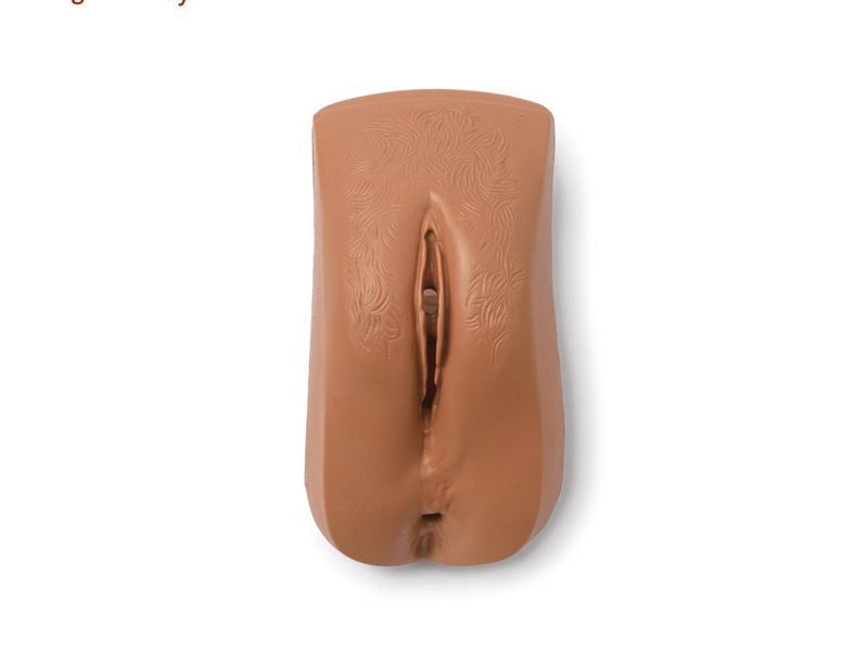Weibliches Genital (mittlerer Hautton) 