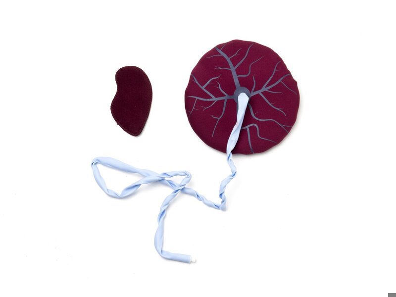 MamaNatalie placenta kit