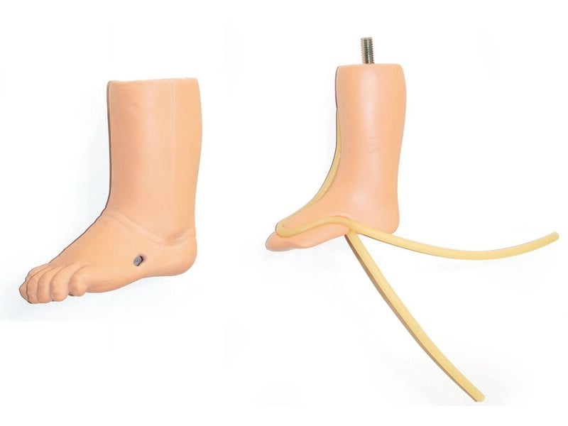 INFANT IV LEG (S)