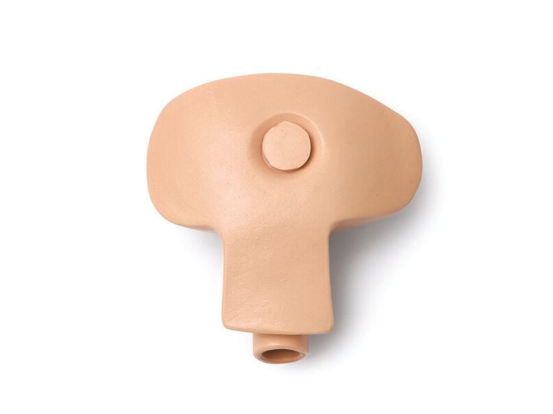 Nursing Baby, Urinary Reservoir