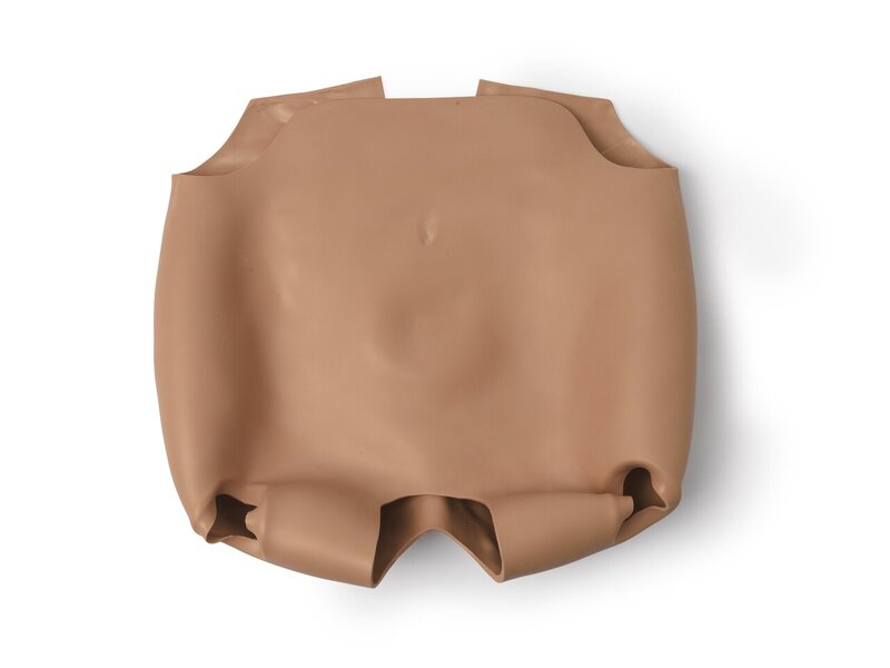 Fundus Skin Replacement, Tan