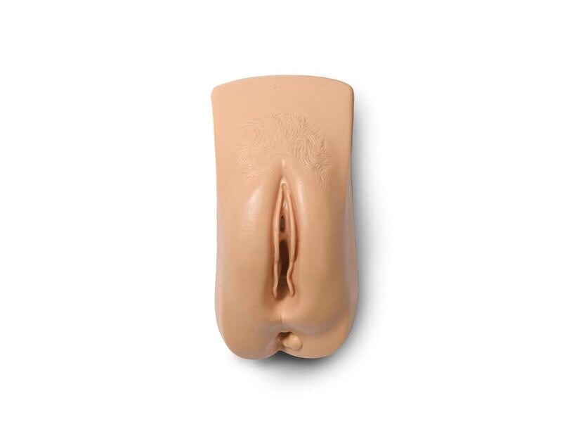 Genital für Fundus-Modell (hellhäutig)