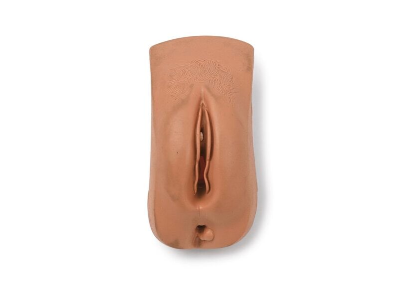 Genitalia, Fundus Skills Trainer Medium