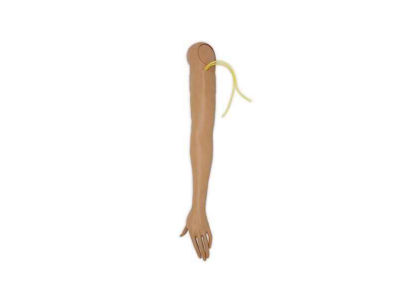 IV-Arm Nursing Anne Simulator