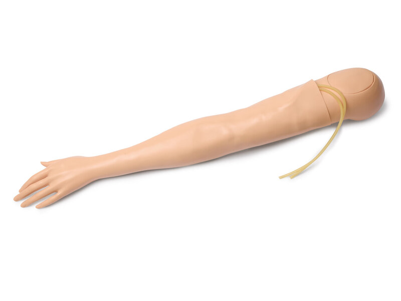 ARM; L-MULTIVEIN-FEM (S)