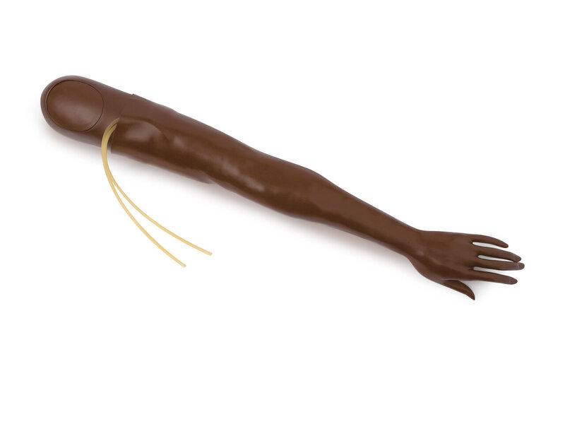 ARM; L-MULTIVEIN-FEM (B)