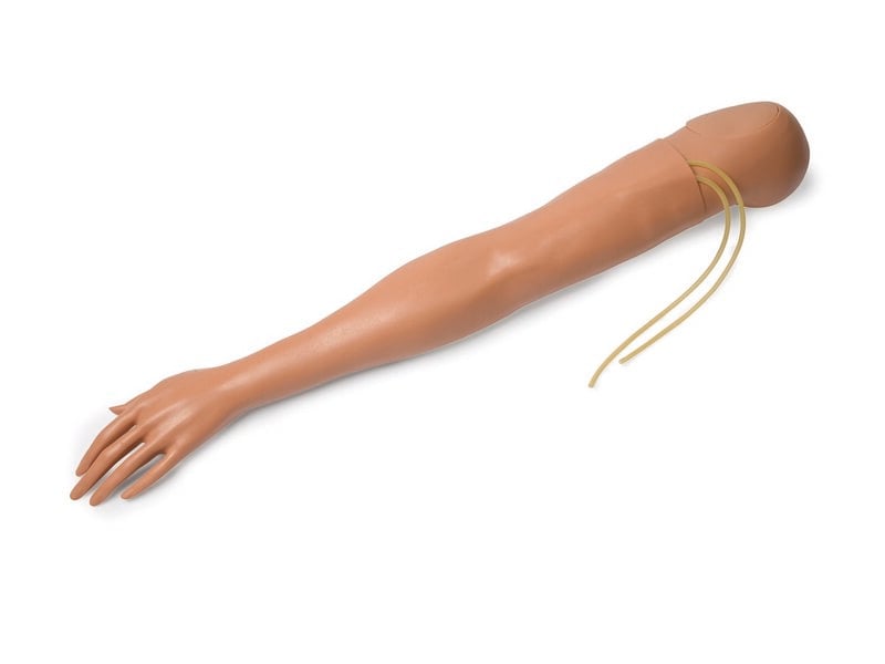 ARM; L-MULTIVEIN-FEM (T)