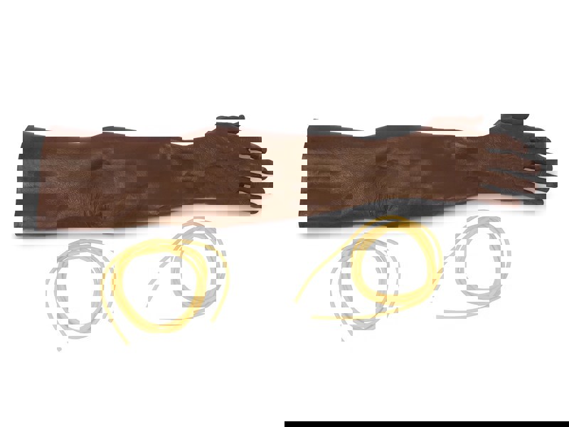 REPLACEMENT SKIN AND ARTERIES B
