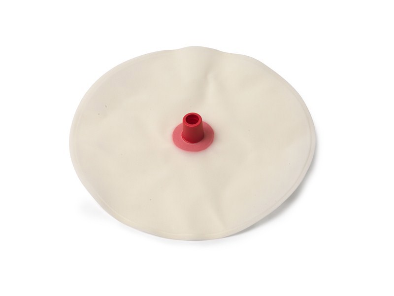 BLADDER; STOMACH AUSC SIMMAN/AIRMAN