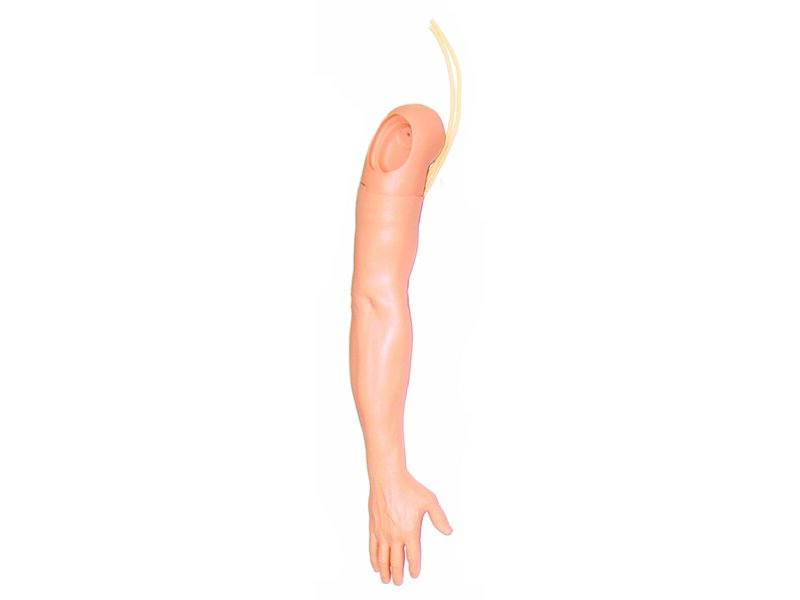 Right IV Arm (S) Multi-Vein IV Arm