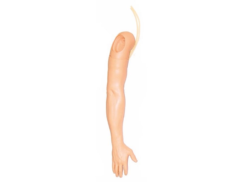 Multi-Venous IV Training Arm Light