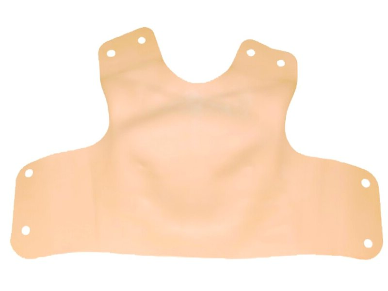 SKIN; CHEST-SIMMAN/ALS