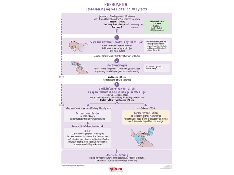 Prehospital Newborn Wall poster