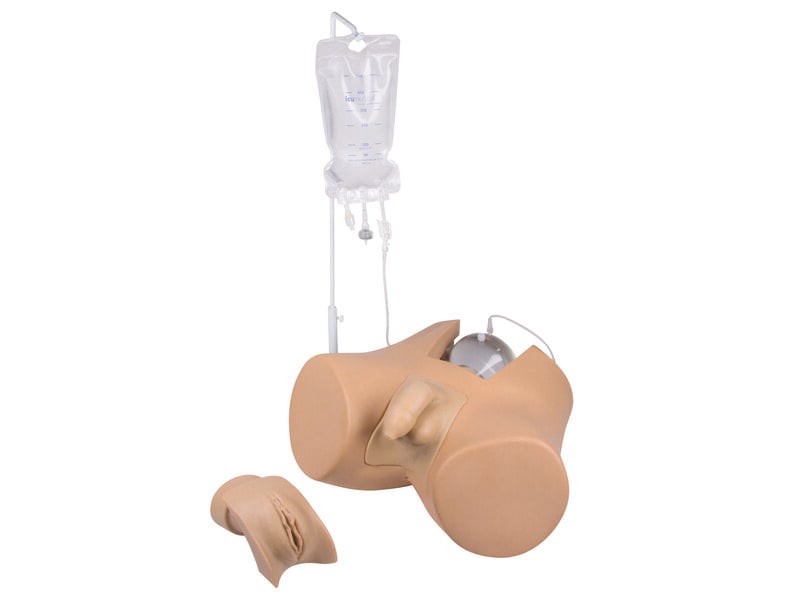 Catheterization Trainer