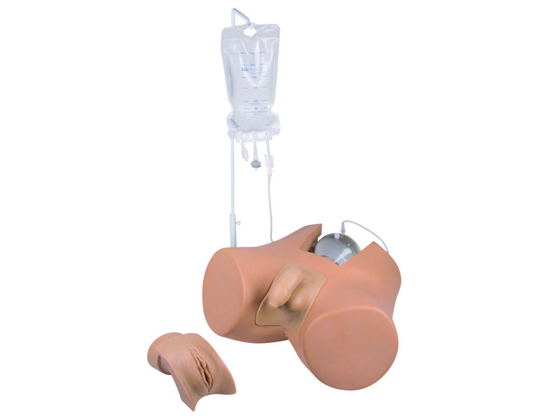 Catheterization Trainer