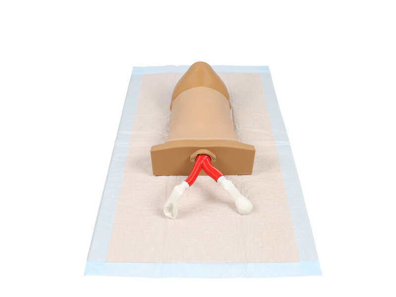 Crico Chris - Cricothyrotomy Task Trainer