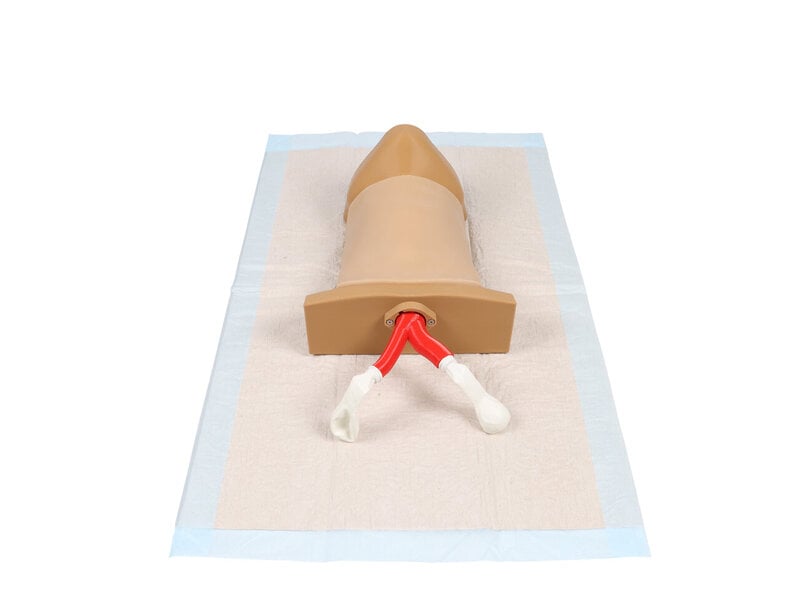 Crico Chris - Cricothyrotomy Task Trainer